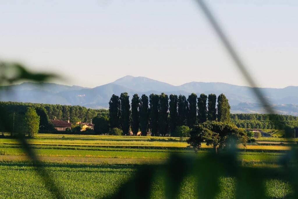 La Casa Nei Campi Villa Badia Pavese ภายนอก รูปภาพ