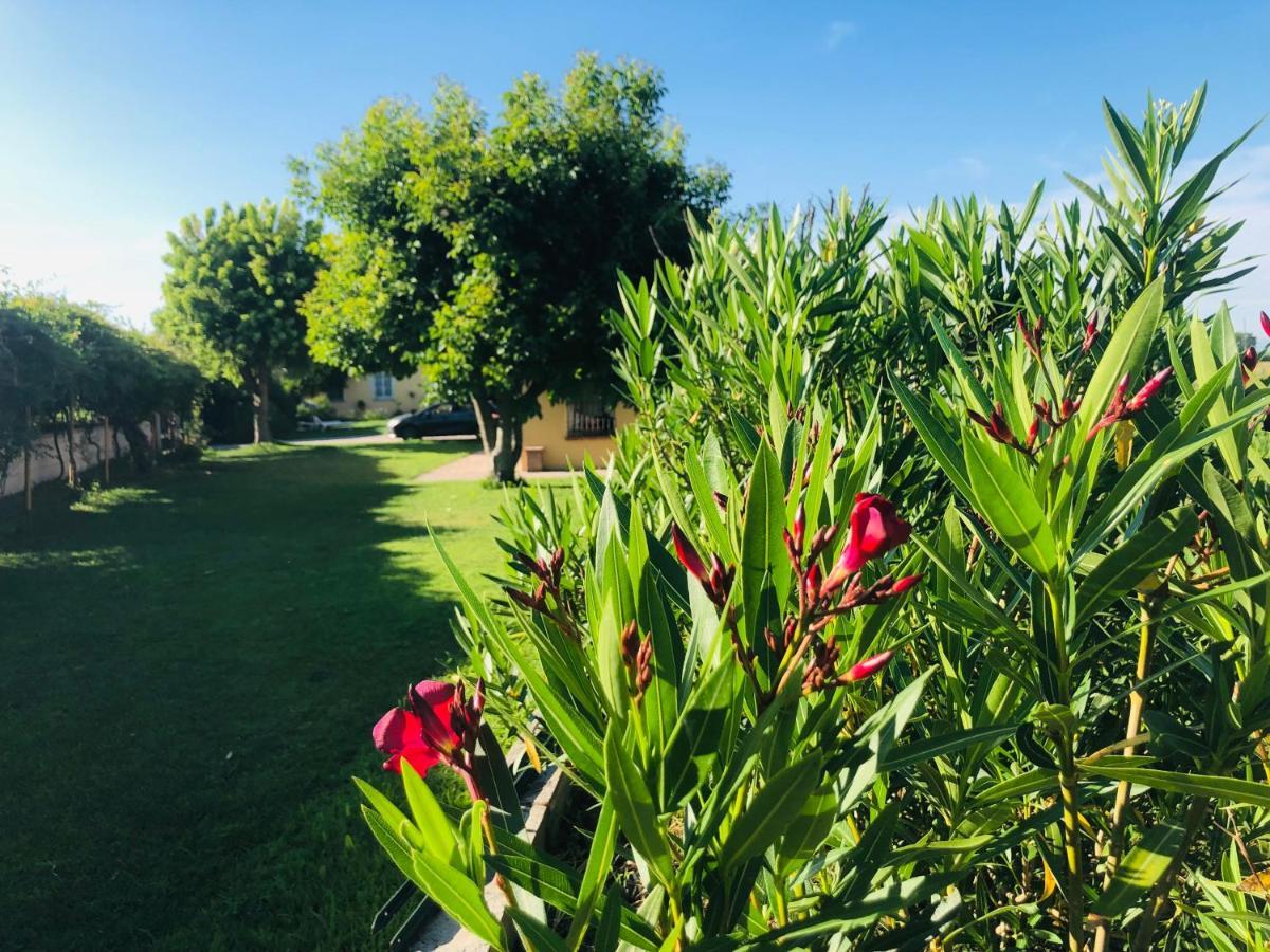 La Casa Nei Campi Villa Badia Pavese ภายนอก รูปภาพ